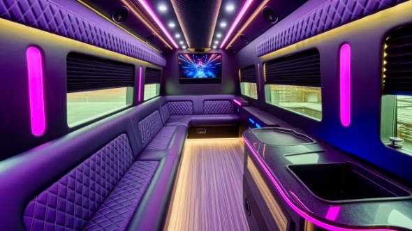 sprinter limo rental interior elyria